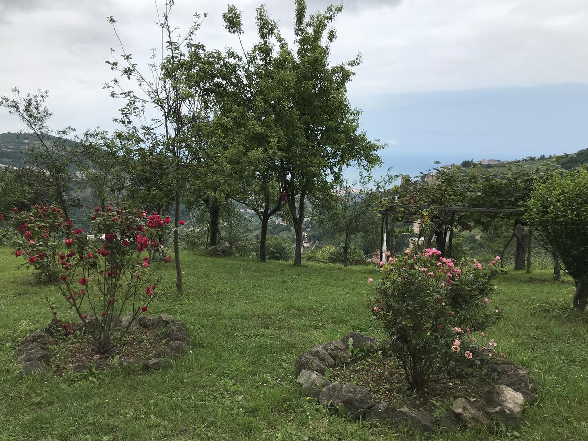 Sea & Nature Villa Hisar Trabzon Bagian luar foto