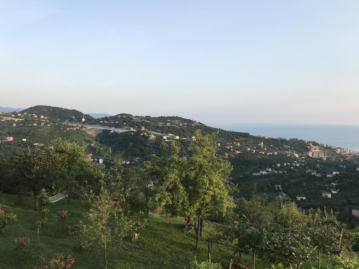 Sea & Nature Villa Hisar Trabzon Bagian luar foto