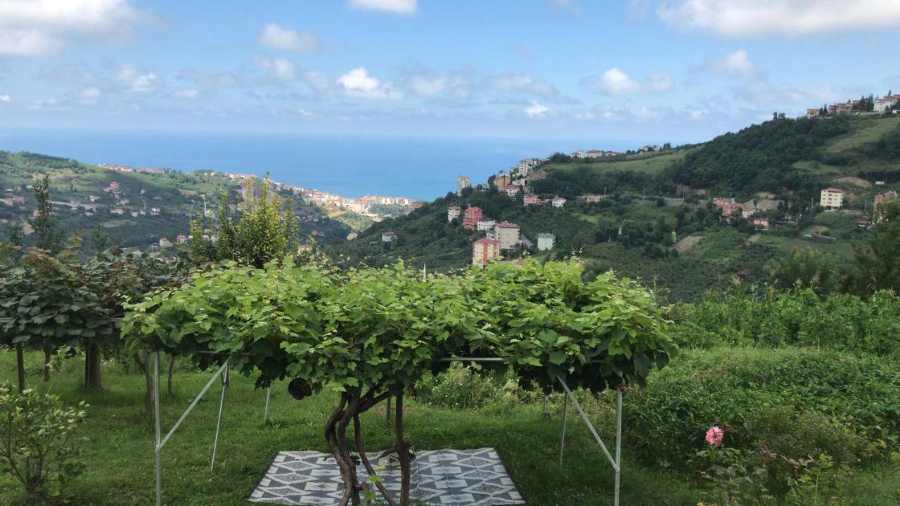 Sea & Nature Villa Hisar Trabzon Bagian luar foto