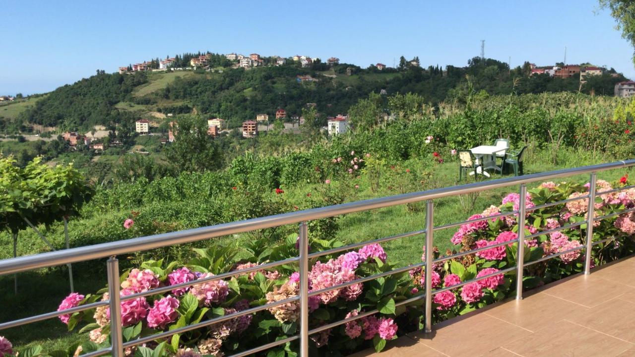 Sea & Nature Villa Hisar Trabzon Bagian luar foto